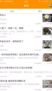 踏花行最新