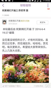 踏花行最新
