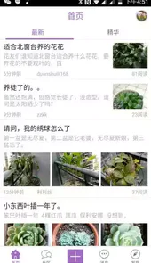 踏花行最新