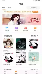 晚点小说免费阅读完整版无弹窗