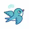 燕子语音 4.11