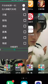 小霸王辅助