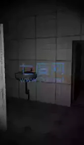theghost联机版