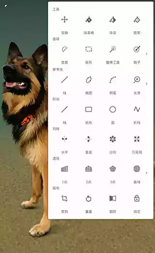 painter中文版手机