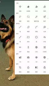 painter中文版手机