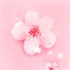 91桃花旧版本 1.8