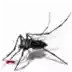 蚊子杀手手机版安卓版 6.29