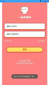 一起养猫咪