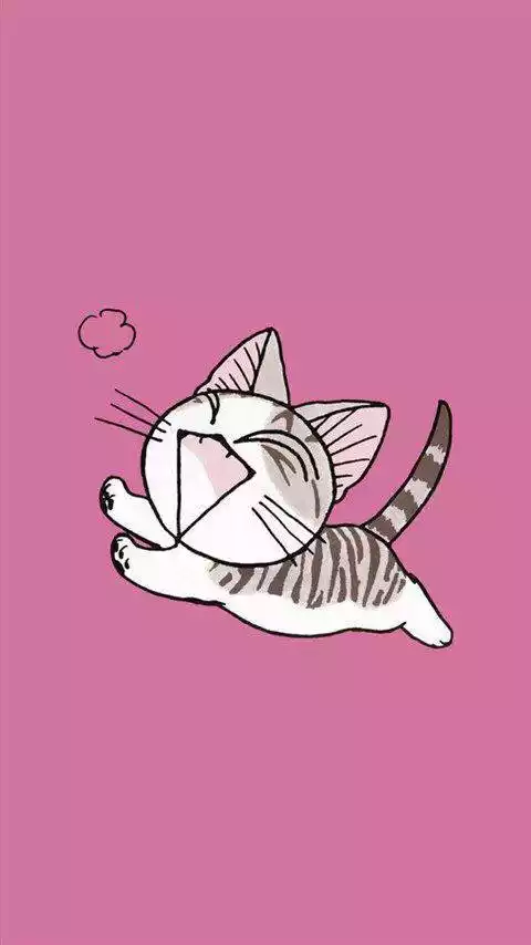 甜甜私房猫密码锁