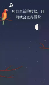 孤独的鸟儿app安卓