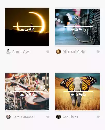 photogallery