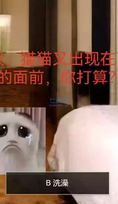 猫猫惊魂游戏链接