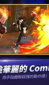 拳皇全明星国际服