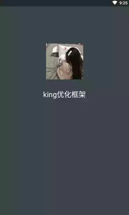 KING国体框架