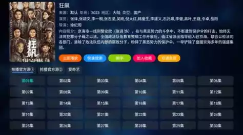 抢播影视TV软件