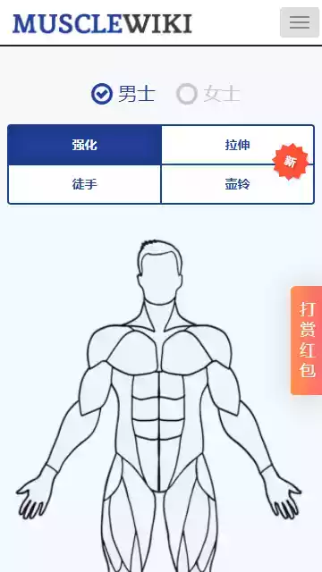 musclewiki中文