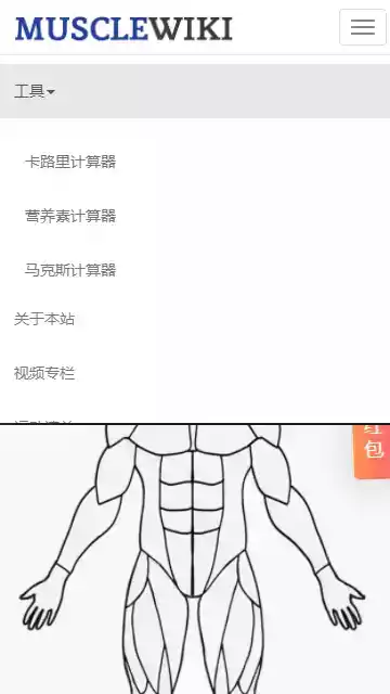 musclewiki中文