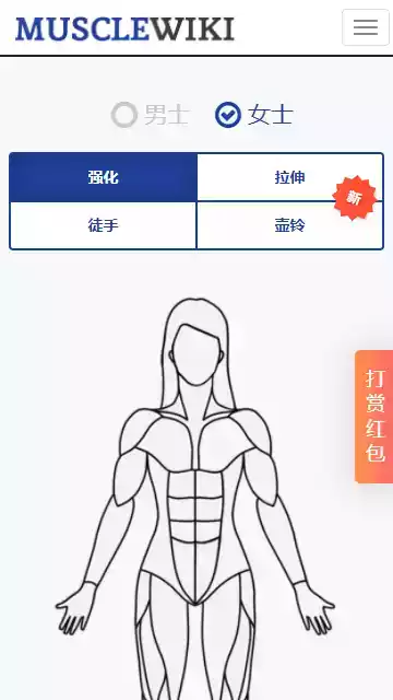 musclewiki中文