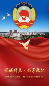 稻城舒兰数字政协