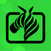 斑马视频入口 1.6