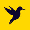 蜂鸟视频app免广告 1.8
