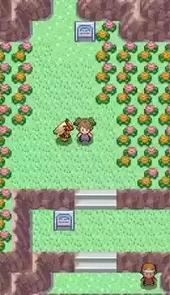 pokemmo手游汉化包