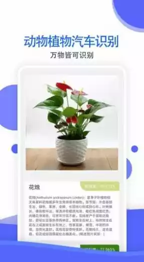 拍照识别全能王APP