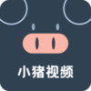 小猪app官方安卓 2.5