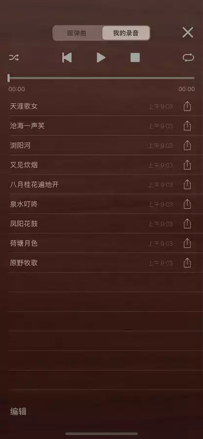 iGuzheng爱古筝专业版