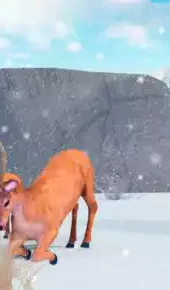 野生雪豹模拟器