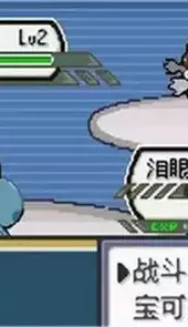 口袋妖怪剑盾内置修改器