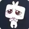 囧次元最新无广告版 5.3