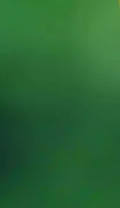粤政易电脑版