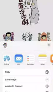 兔子姐姐