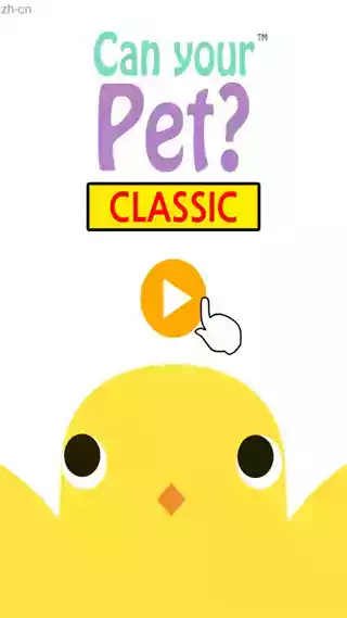 养只小黄鸡手游