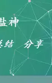 我不是盐神网页入口