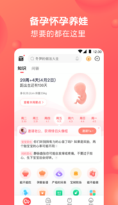 2023宝宝树孕育最新