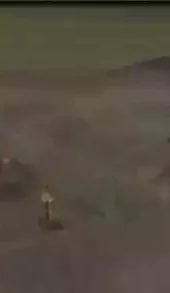 核弹模拟器游戏60秒无敌版