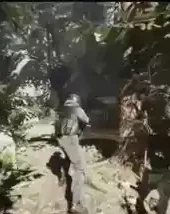 sons of the forest