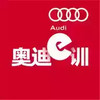 奥迪e训 6.2