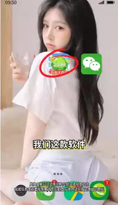 合出大西瓜正版