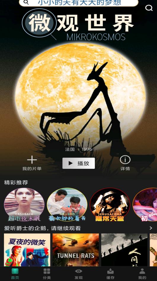 段友影视p30高清