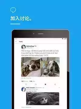 twitter2023安卓版