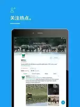 twitter2023安卓