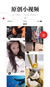 一点资讯自媒体平台官网