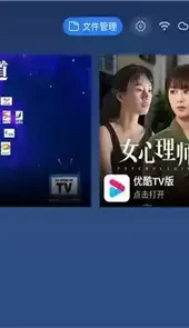 乐家桌面tv版
