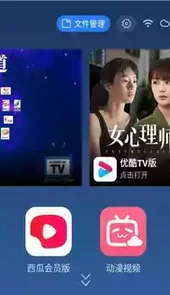 乐家桌面tv版
