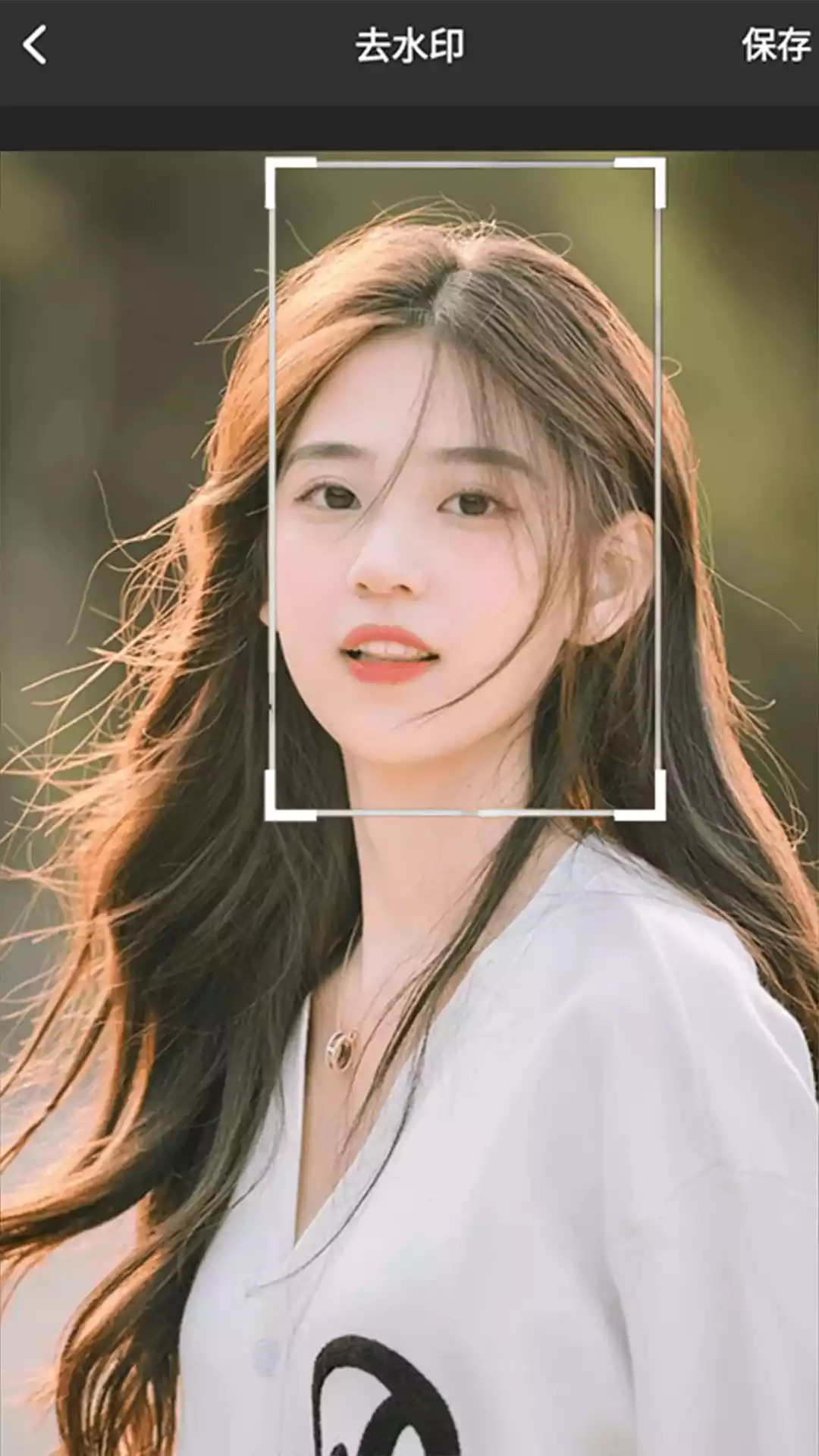 勇奥版TalePro软件