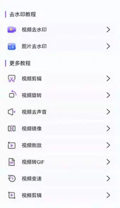 了无痕水印大师