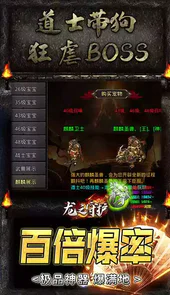 龙之守护game